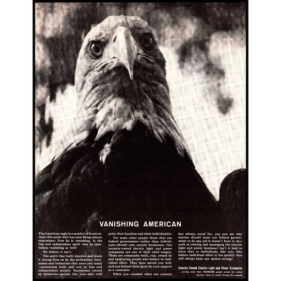 1963 Electric Light and Power Company Bald Eagle Vintage Print Ad Wall Art Photo - Picture 1 of 1